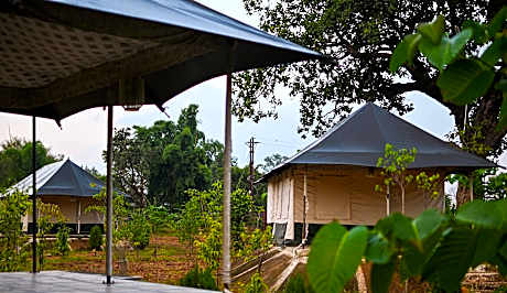 Bundeli Camps and Resorts Panna