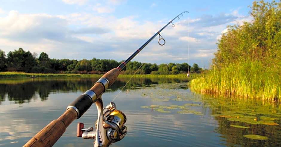 Hotel Restaurant Plutitor Delta Ways