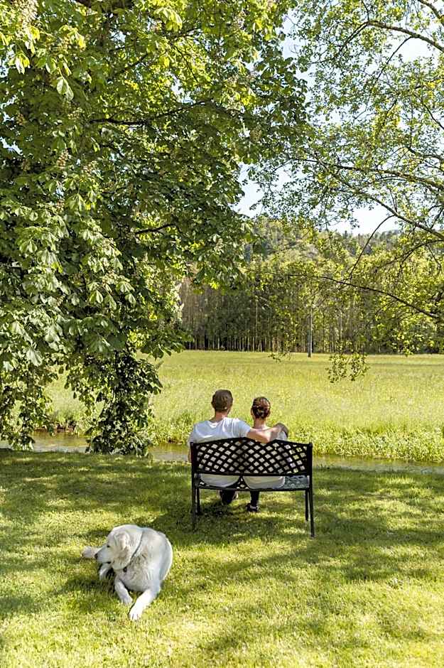 Logis Hotel Des Vosges