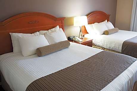 2 Queen Beds Deluxe Studio Suite Ocean View Non-Smoking