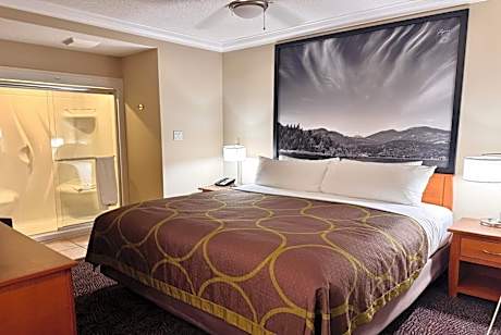 Efficiency One-Bedroom King Suite