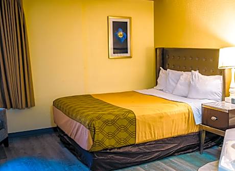Standard Room, 1 King Bed, Non Smoking (1st Floor)