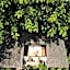 Roots Tree House