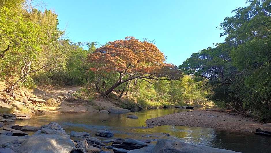 Toca do Zé - chalé com hidro no centro histórico
