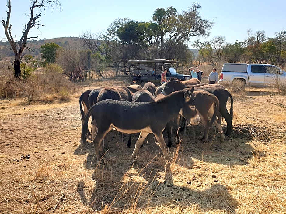 Schrikkloof Private Nature Reserve, home of The Lions Foundation