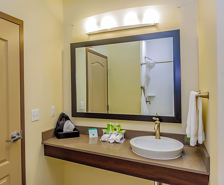 Holiday Inn Express & Suites Cheektowaga North East By IHG