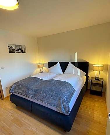 One-Bedroom Apartment with Lake View