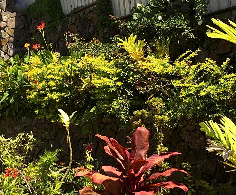 Victoria Palms Hotel