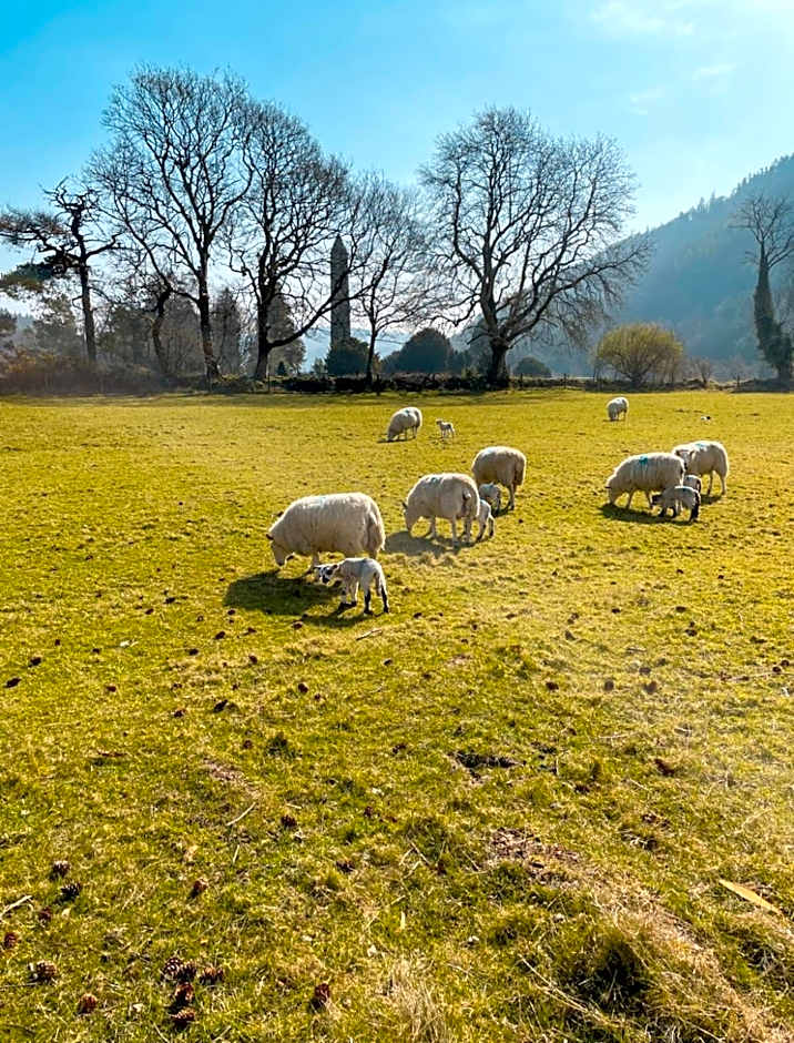 Glendalough International Youth Hostel