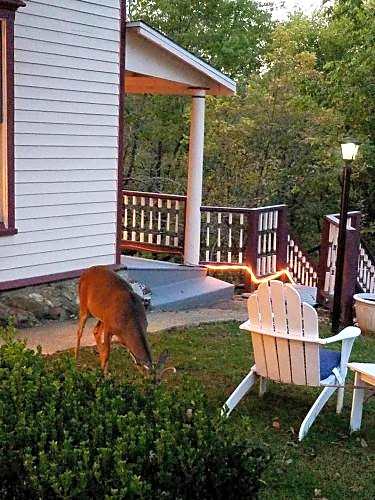5 Ojo Inn Bed and Breakfast