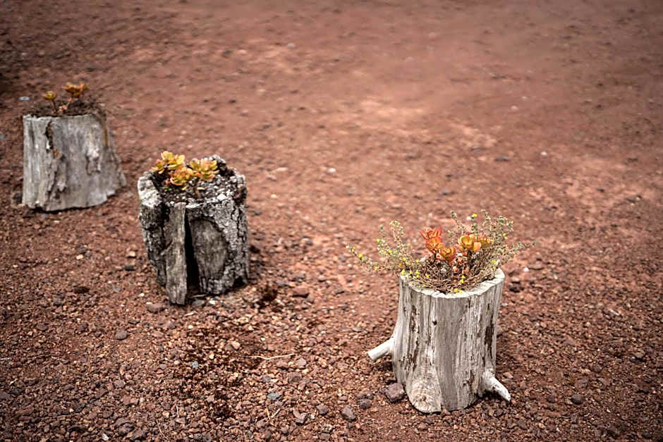 Alma do Pico - Nature Residence