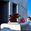 Quartano Luxury Cycladic Residence, Adults Only (13+)