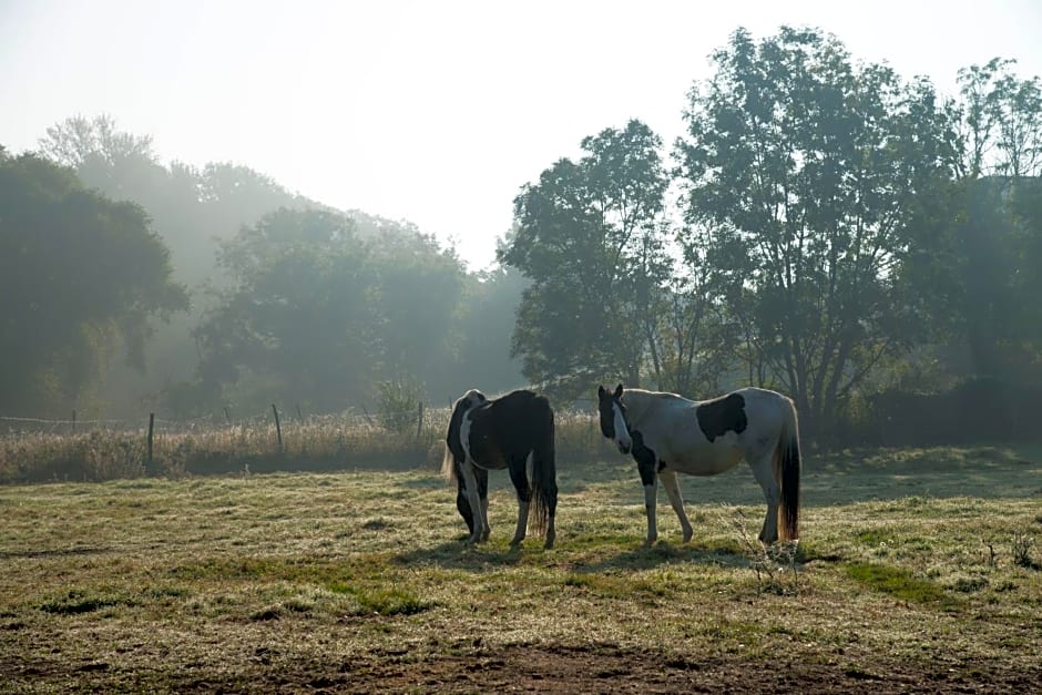 Ranchzimmer am Hippo-Campus Reit- und Therapiezentrum