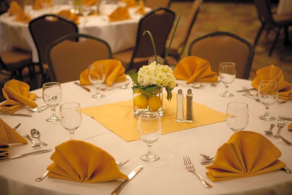 Holiday Inn Greenville, an IHG Hotel