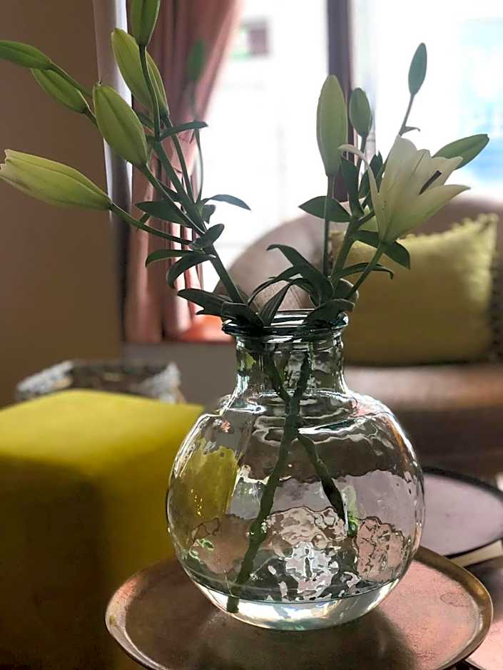 Hotel Stare Miasto Old Town