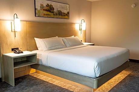 1 King Bed