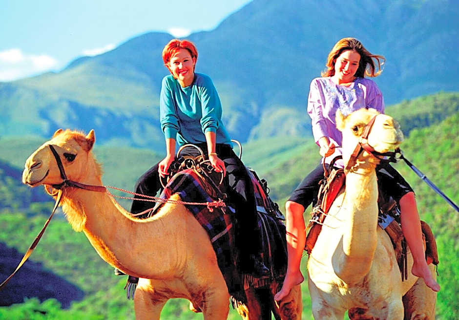 Wilgewandel Holiday Farm & Day Restaurant