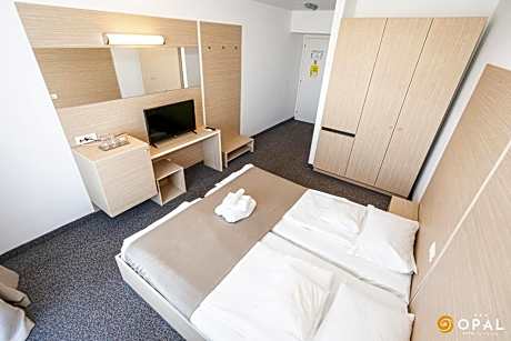 Executive Double or Twin Room with Forest View