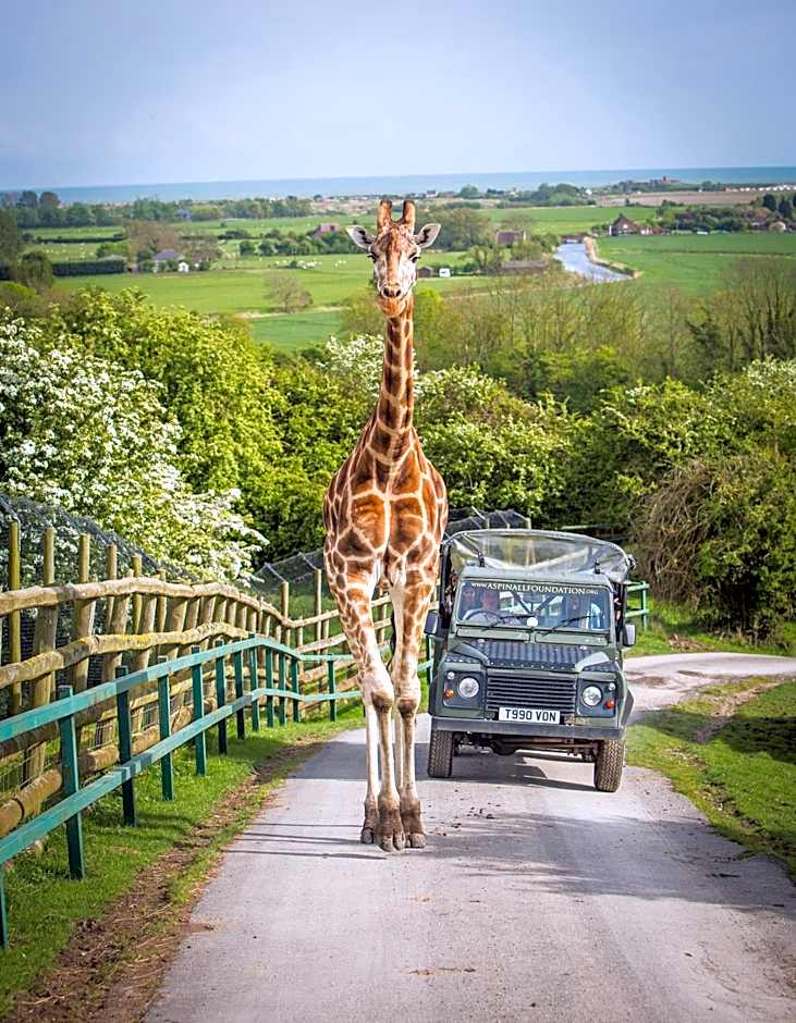 Port Lympne Mansion Hotel