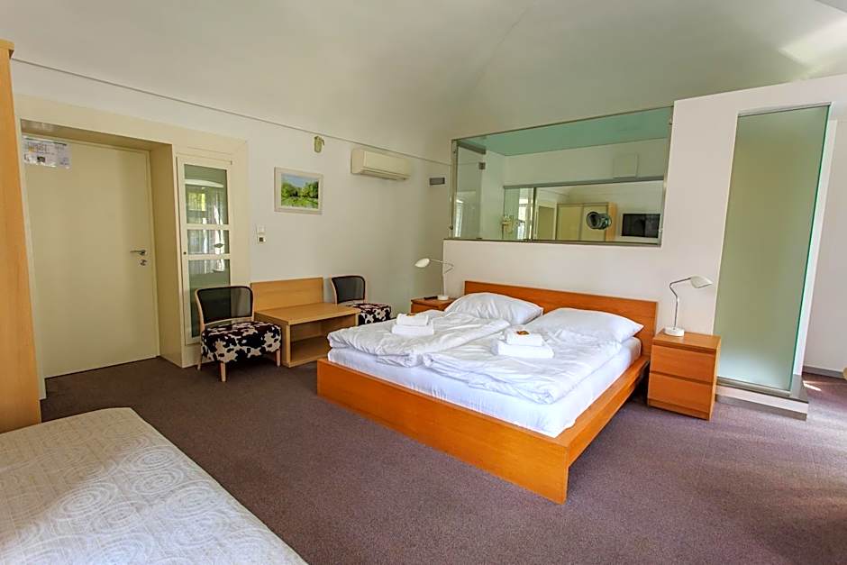 Hotel Villa Nečas Žilina