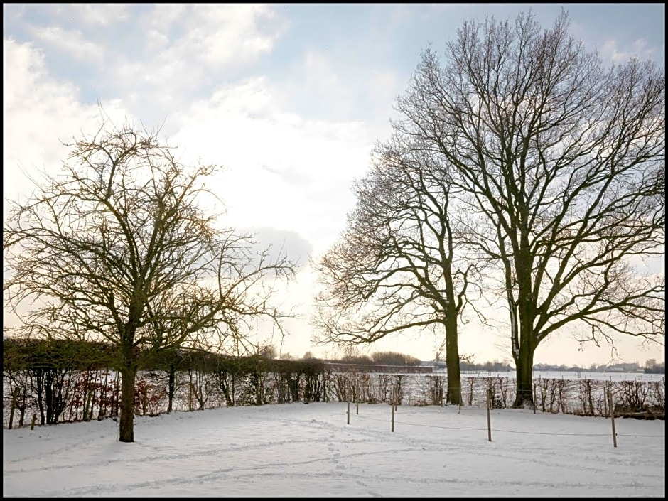 Rooseboom22