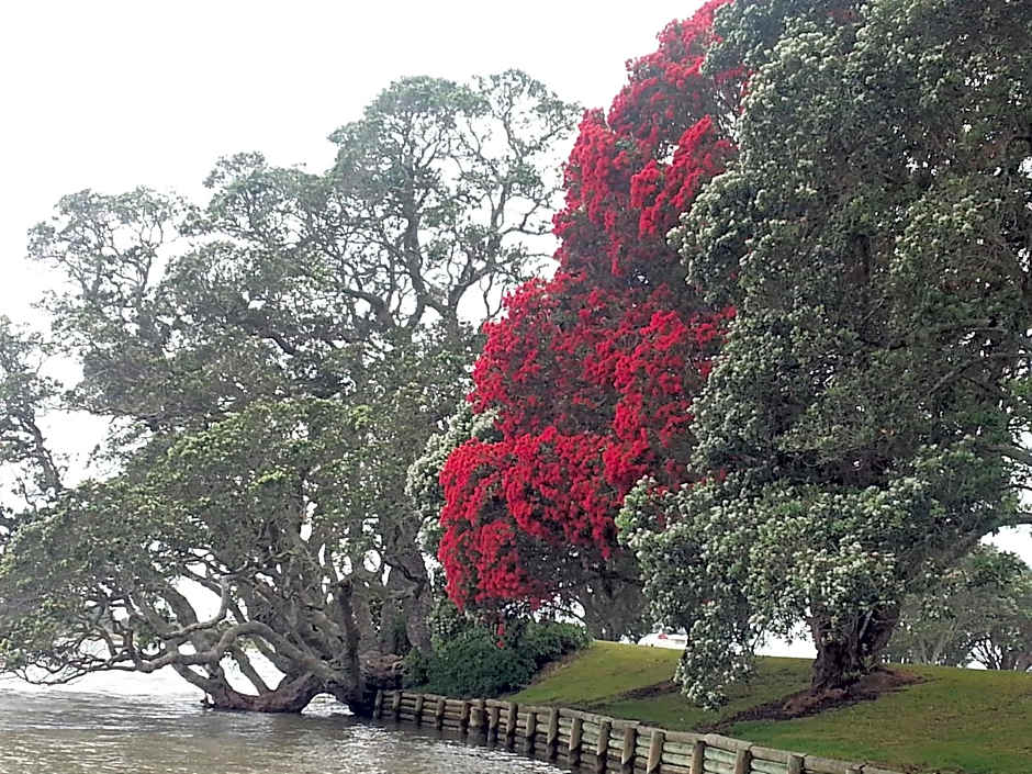 Athenree Hot Springs & Holiday Park