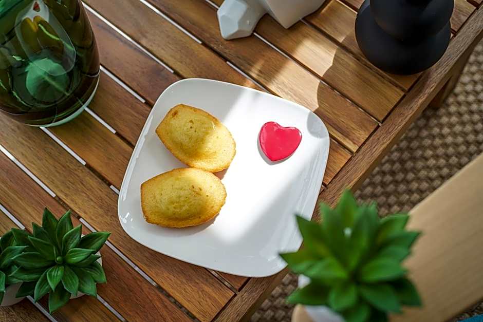 Ibis Tours Centre Giraudeau