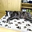 Alpine Touring Hotel-petfriendly