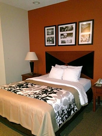 1 King Bed, Nonsmoking