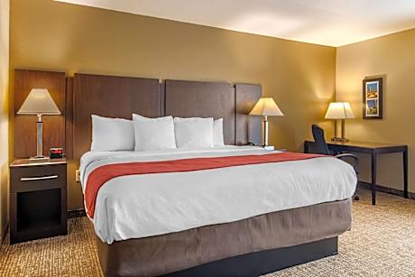 1 King Bed Suite Nonsmoking