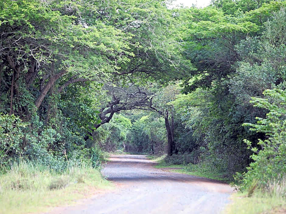 Emdoneni Lodge