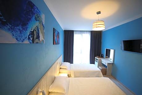 Large Double or Twin Room