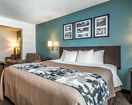 1 King Bed, Suite, Nonsmoking