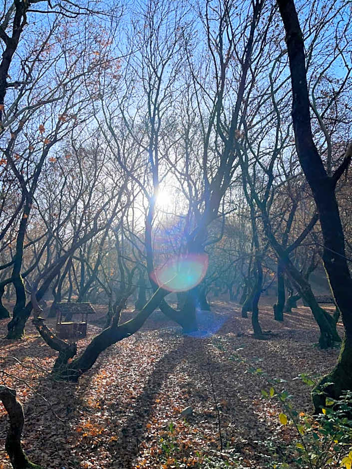 Mountain Hotels "Aroanides"