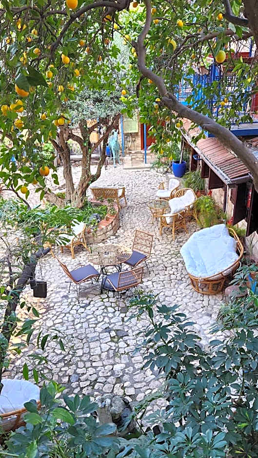 וילה תהילה המחודש - The new Villa Tehila