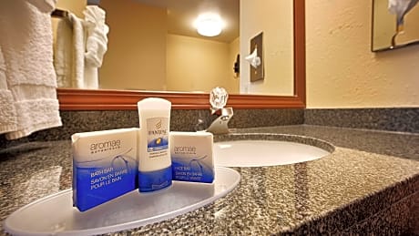 1 King Bed Non-Smoking First Floor Sofabed Pet Friendly Room Microwave Fridge Wi-Fi Full Breakfast