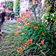 B&B I Glicini