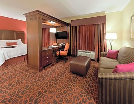 1  King Bed Studio Suite W/Sofabed Nonsmoking
