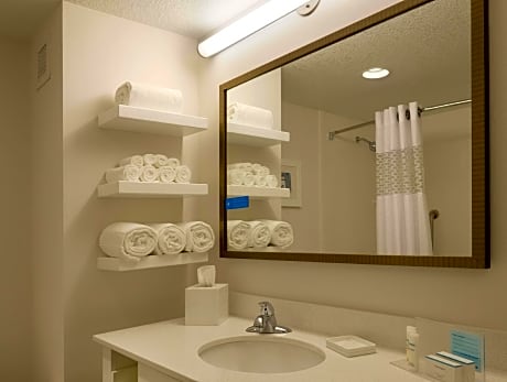 1 King Mobility Hearing Accessible Roll In Shower Studio Non-Smoking