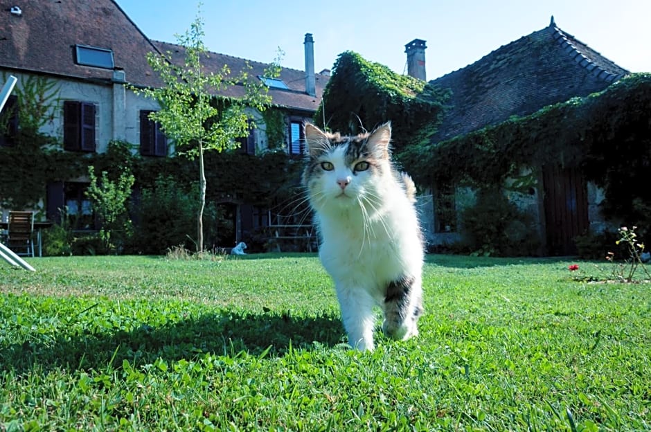 Au Puy Des Vérités