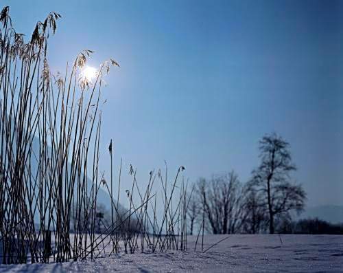 Hotel-Pension Rotspitz