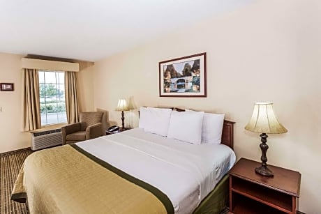 1 King Bed Mobility Accessible Room Non-Smoking