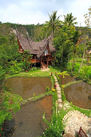 Padi Ecolodge