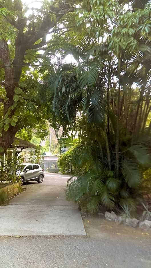 Résidence Les MANGUIERS OTANTIK