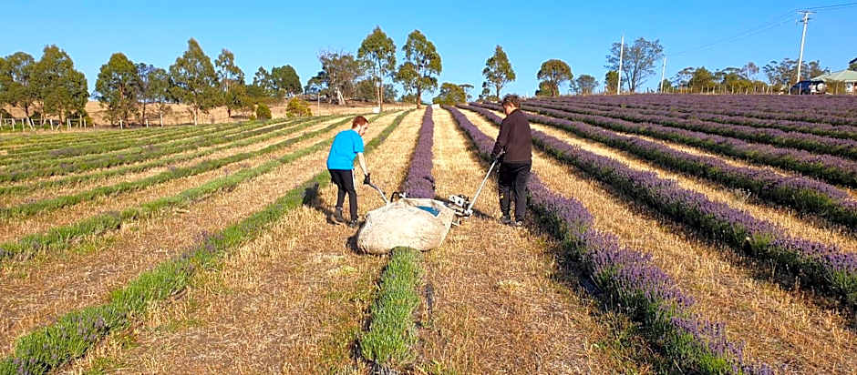 Charles Reuben Estate