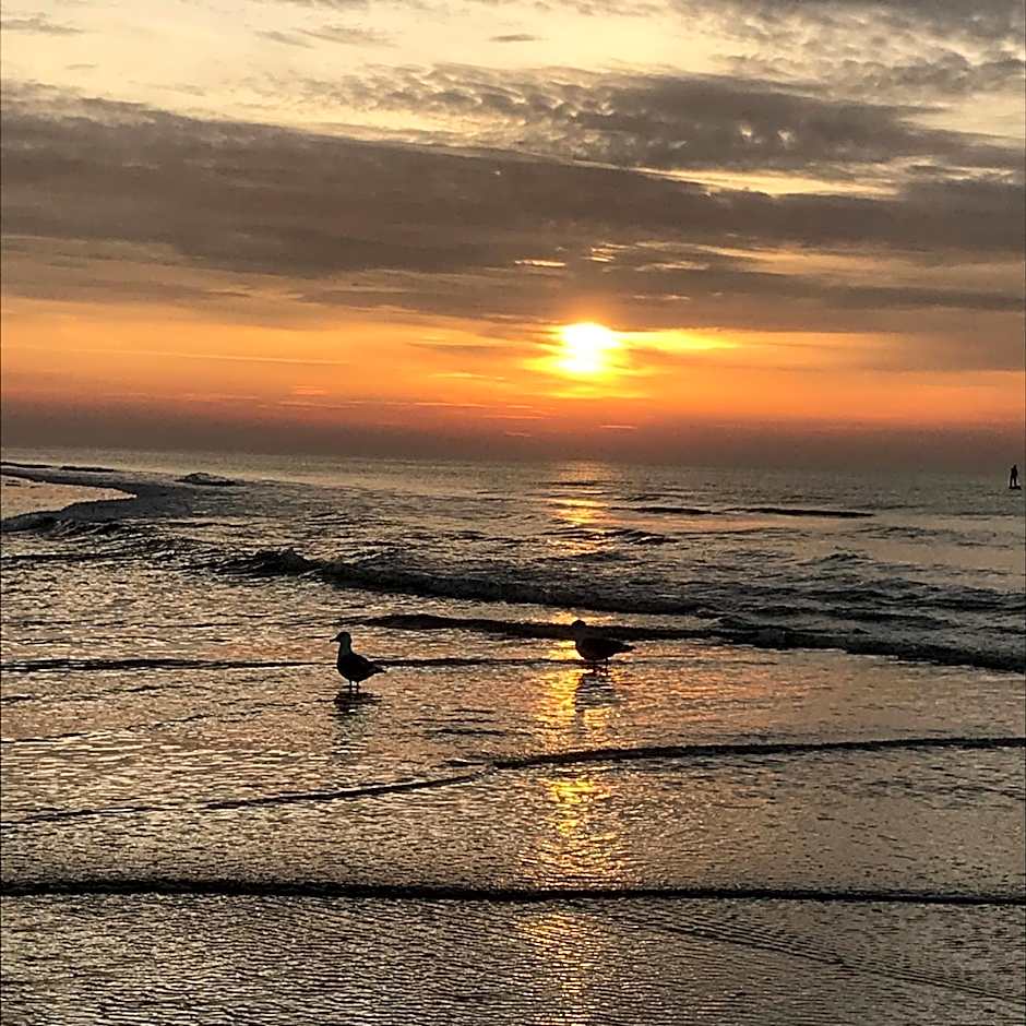 Bed and Breakfast Kik en Bun