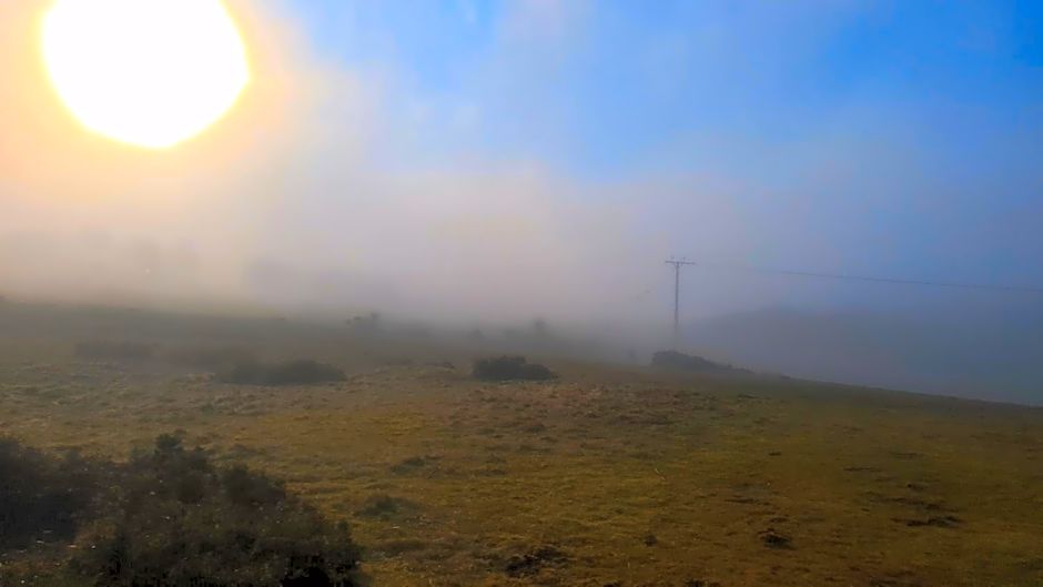 Blue bells Small but quirky & Cozy Shepherd's Hut