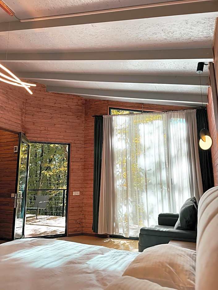 Eco Village In The Forest