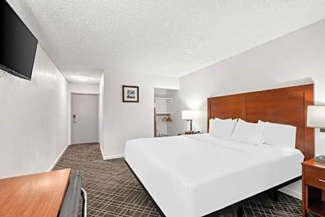 1 King Bed, Suite, Nonsmoking, Upgrade
