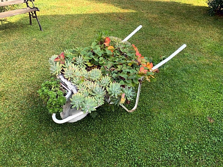 L' Ulivo Bed & Breakfast